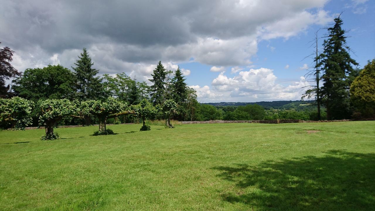 Pierre Deluen Domaine De La Grange De Quaire Bed & Breakfast Chassenon Dış mekan fotoğraf